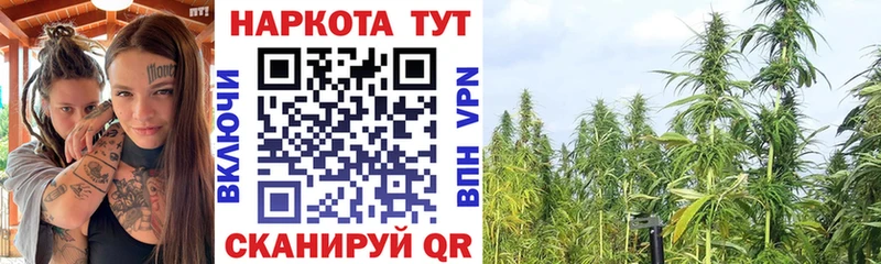 Метадон Красноармейск