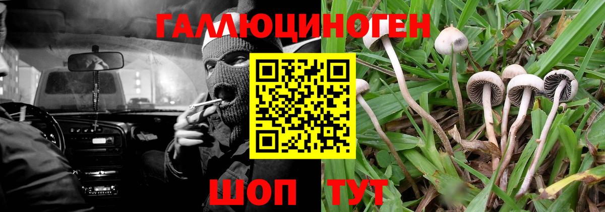 Псилоцибиновые грибы мухоморы  Галлюциногенные грибы MAGIC MUSHROOMS  Красноармейск  Вход с VPN 